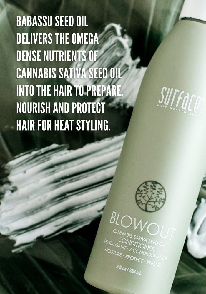 Surface Hair | Blowout Conditioner