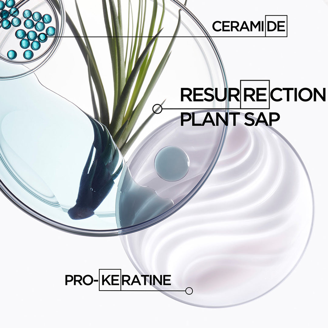 Kerastase Refillable Luxury Pouches Resistance ingredients