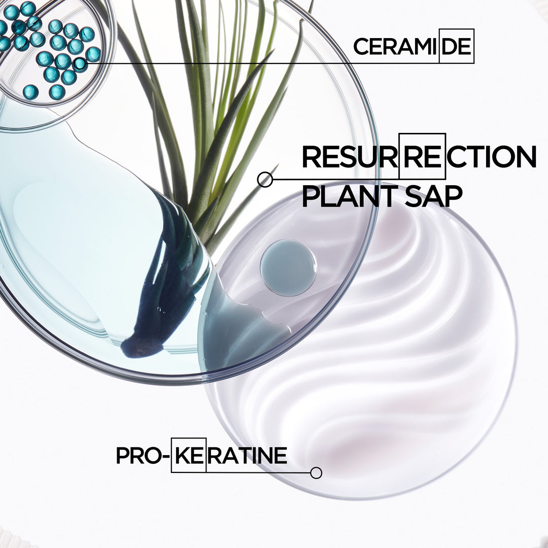 kerastase resistance bain force architecte shampoo ingredients