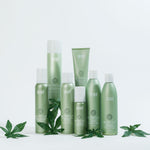 Surface Hair | Blowout Shampoo